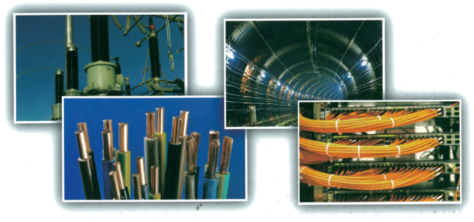 1650960888171625.png 10.png